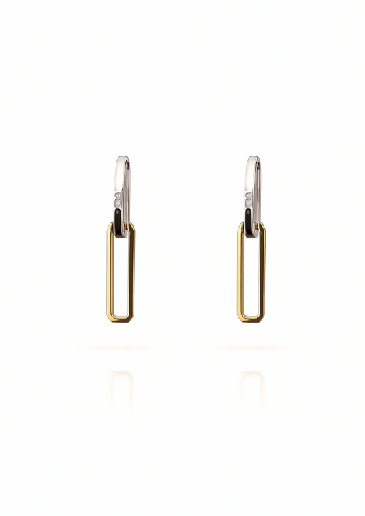 Rare Link Enamel Earrings