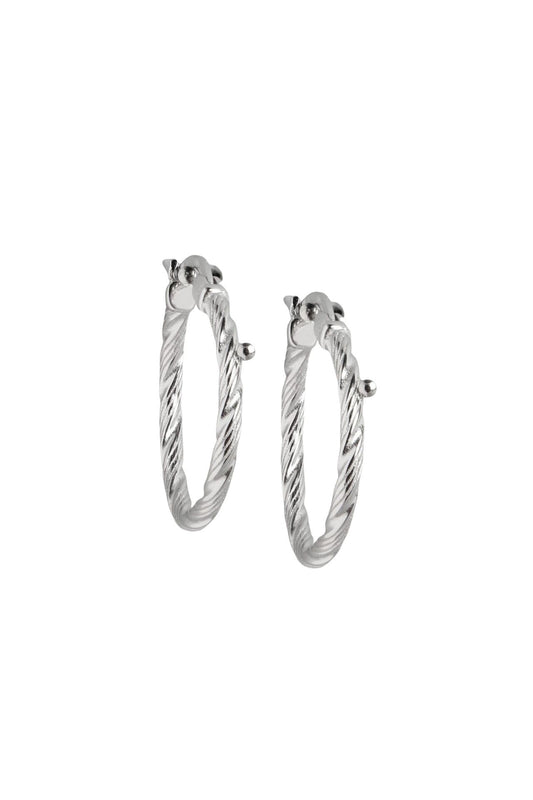 Classic Silver hoops