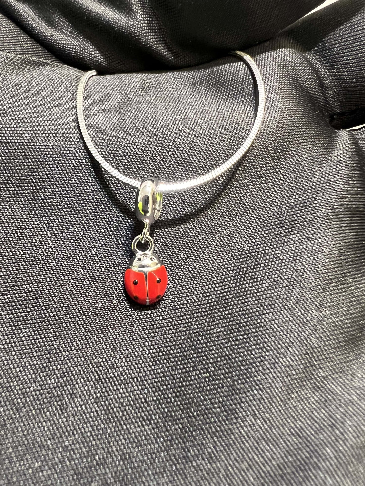Lady bug Charm